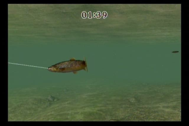 Reel Fishing Challenge