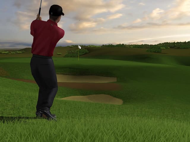 Tiger Woods PGA Tour 2004