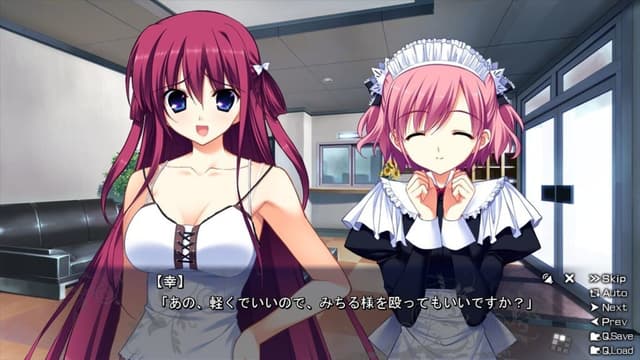 The Labyrinth of Grisaia