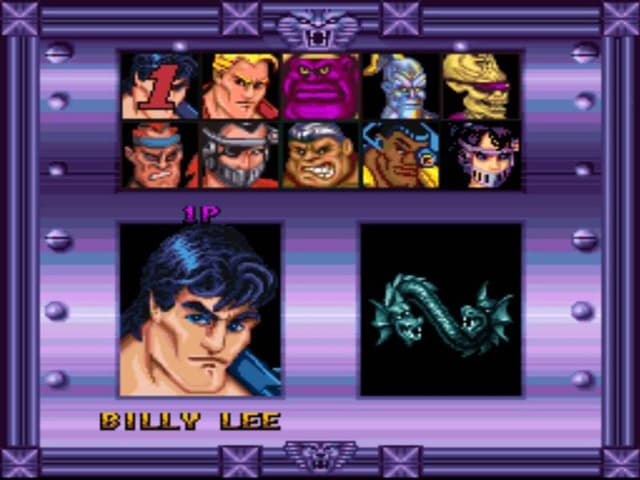 Double Dragon V: The Shadow Falls