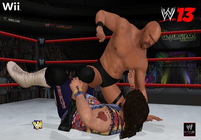 WWE '13