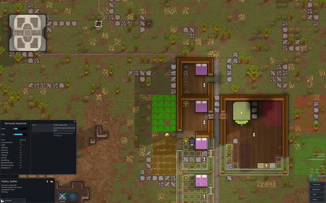 RimWorld