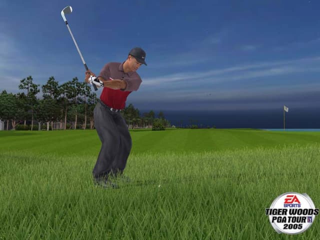 Tiger Woods PGA Tour 2005