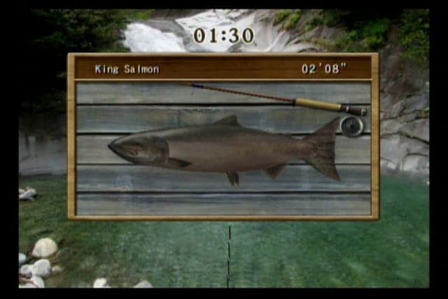 Reel Fishing Challenge