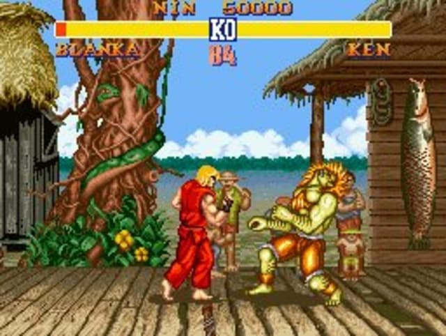 Street Fighter II: The World Warrior