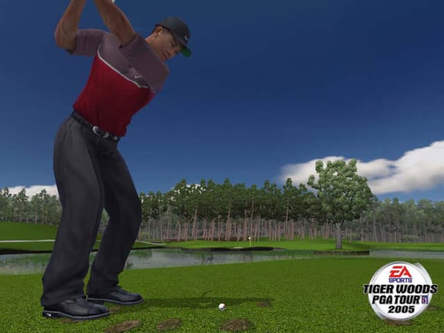 Tiger Woods PGA Tour 2005