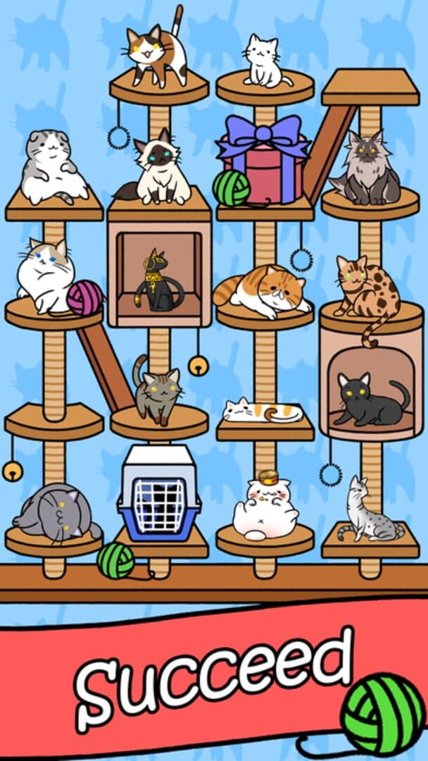 Cat Condo