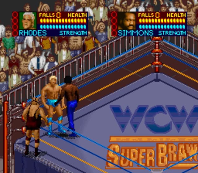 WCW SuperBrawl Wrestling