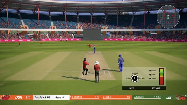 Cricket 19