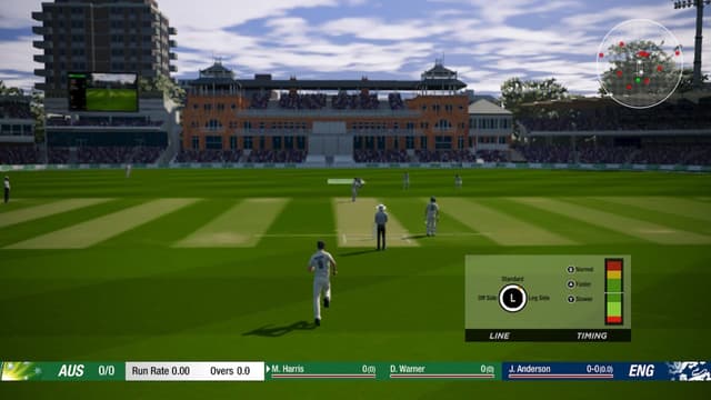 Cricket 19