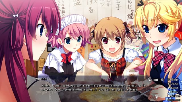 The Leisure of Grisaia