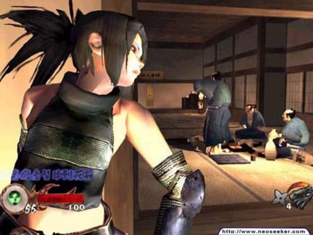 Tenchu: Wrath of Heaven