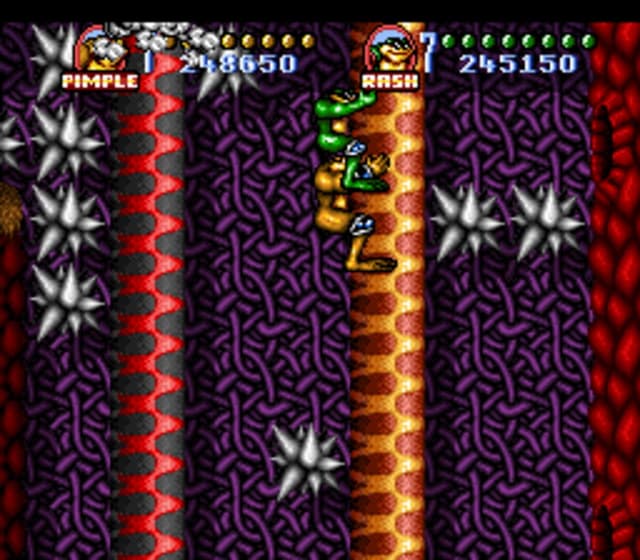 Battletoads In Battlemaniacs