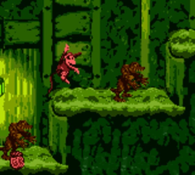 Donkey Kong Country