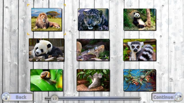 Jigsaw Fun: Amazing Animals