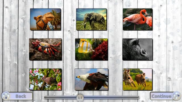 Jigsaw Fun: Amazing Animals