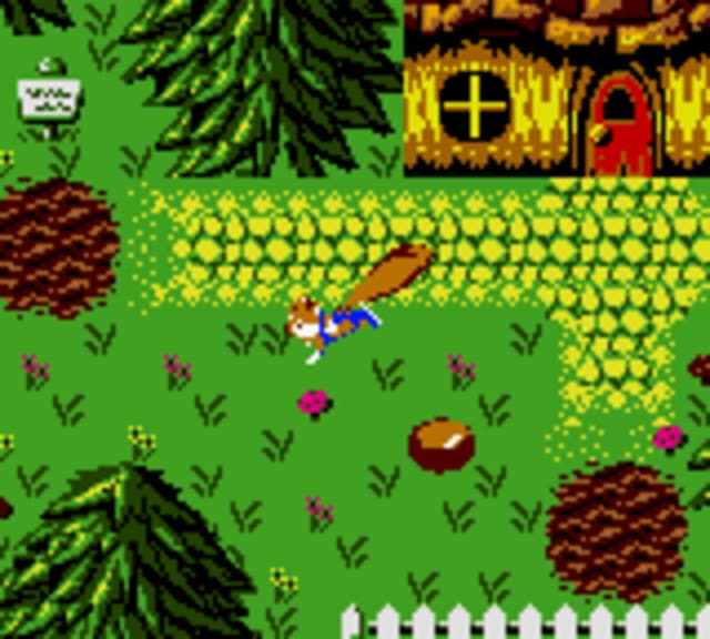 Conker's Pocket Tales