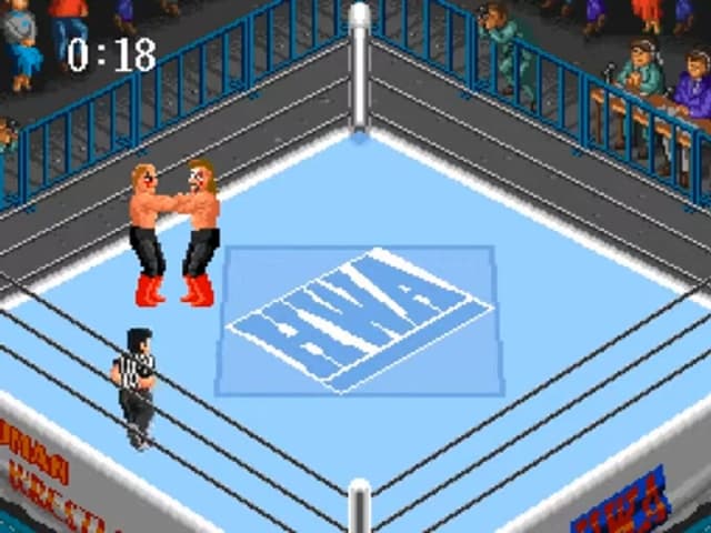 Super Fire Pro Wrestling