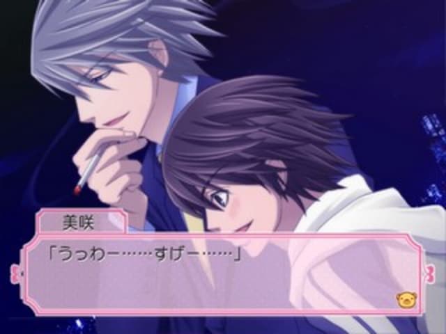 Junjou Romantica: Koi no Doki-doki Daisakusen