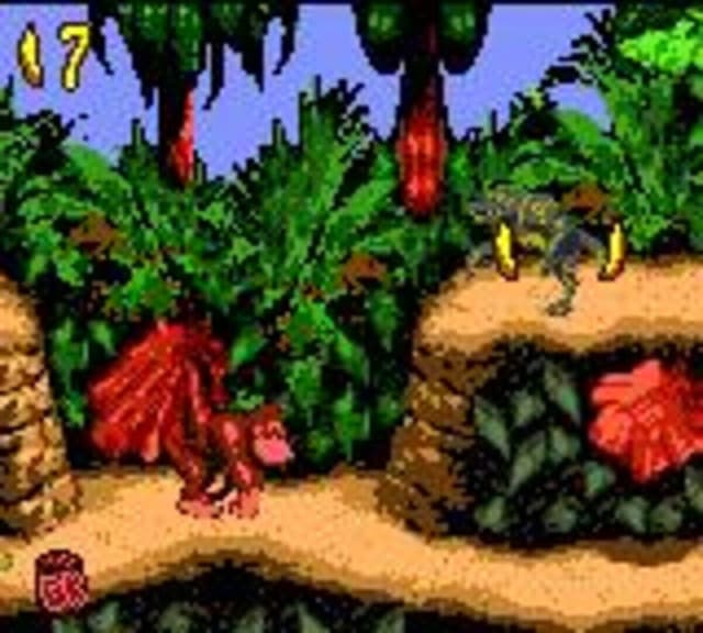 Donkey Kong Country