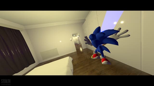 Stealth The Hedgehog