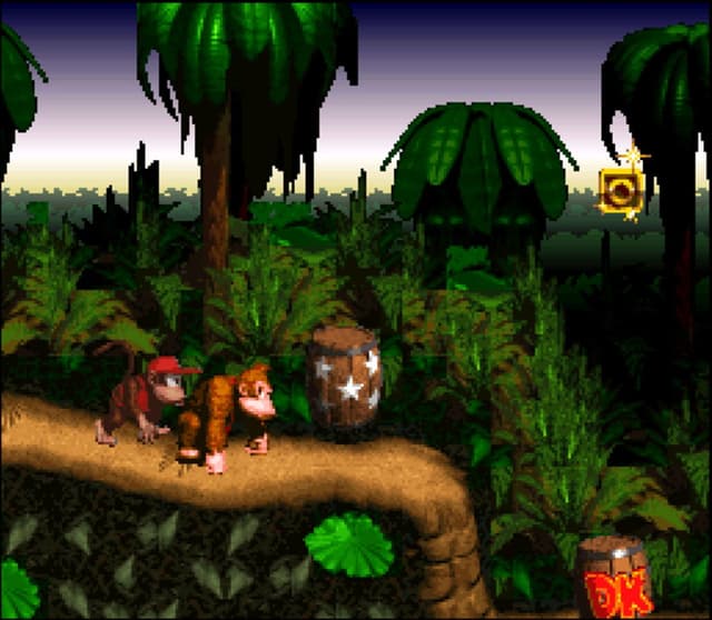 Donkey Kong Country