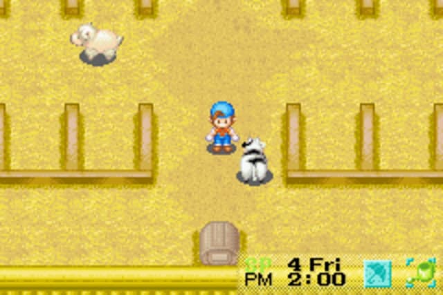 Harvest Moon: Friends of Mineral Town