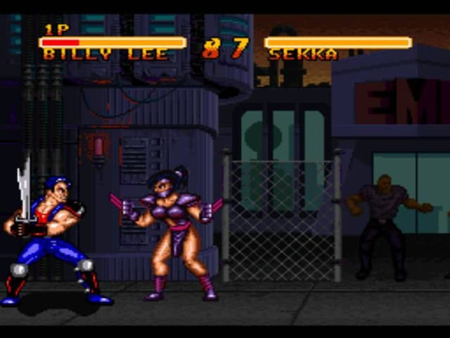 Double Dragon V: The Shadow Falls