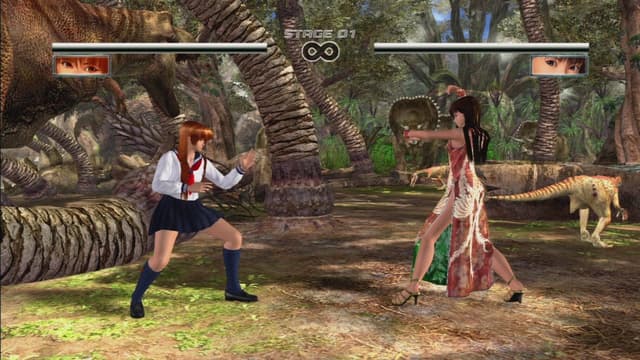 Dead or Alive 4